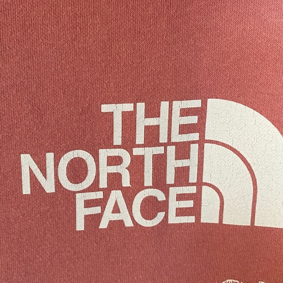 THE NORTH FACE Hoodie Sweatshirt - Picture 8 of 12